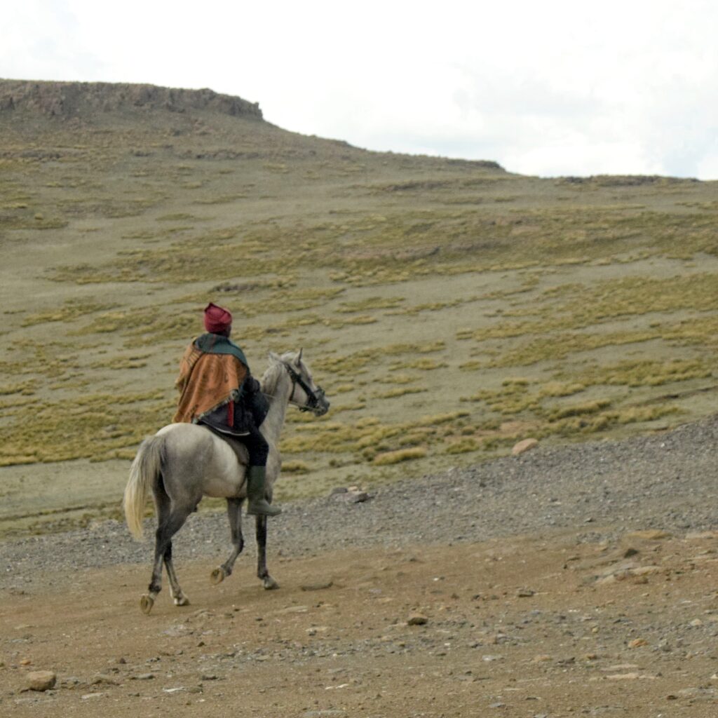 Lesotho - Ensom rytter til hest